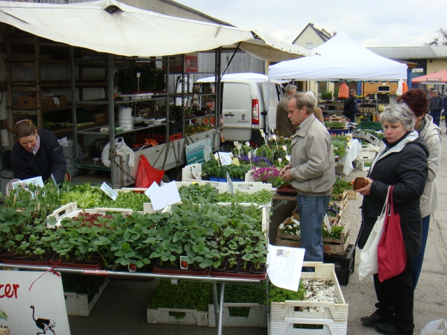 2010-04-10_bauernmarkt_037.jpg