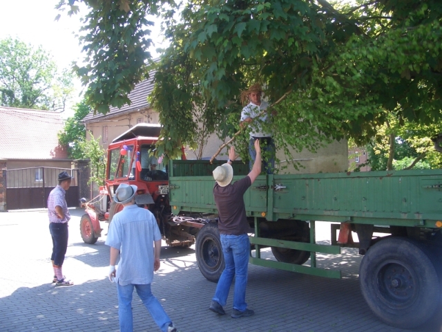 2010-05-21_Pfingsten_27.jpg