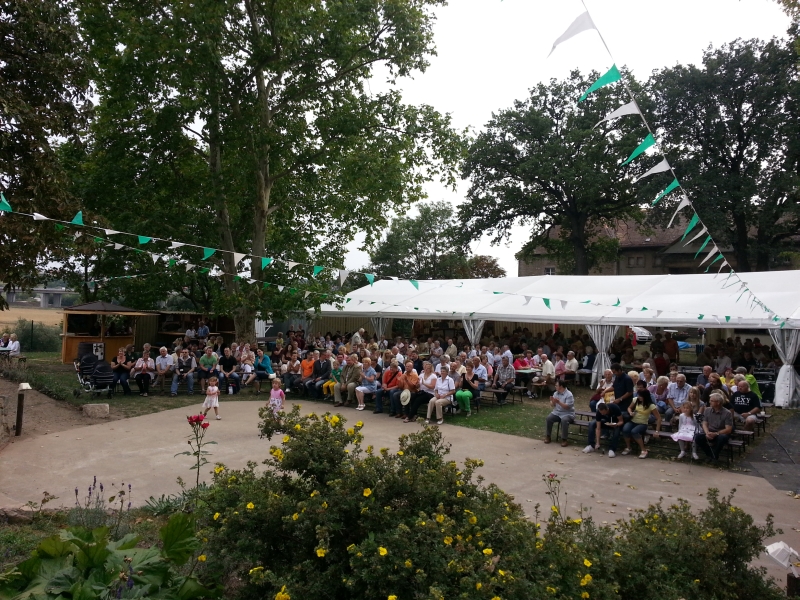 2013-08-31_Weinfest_023.jpg